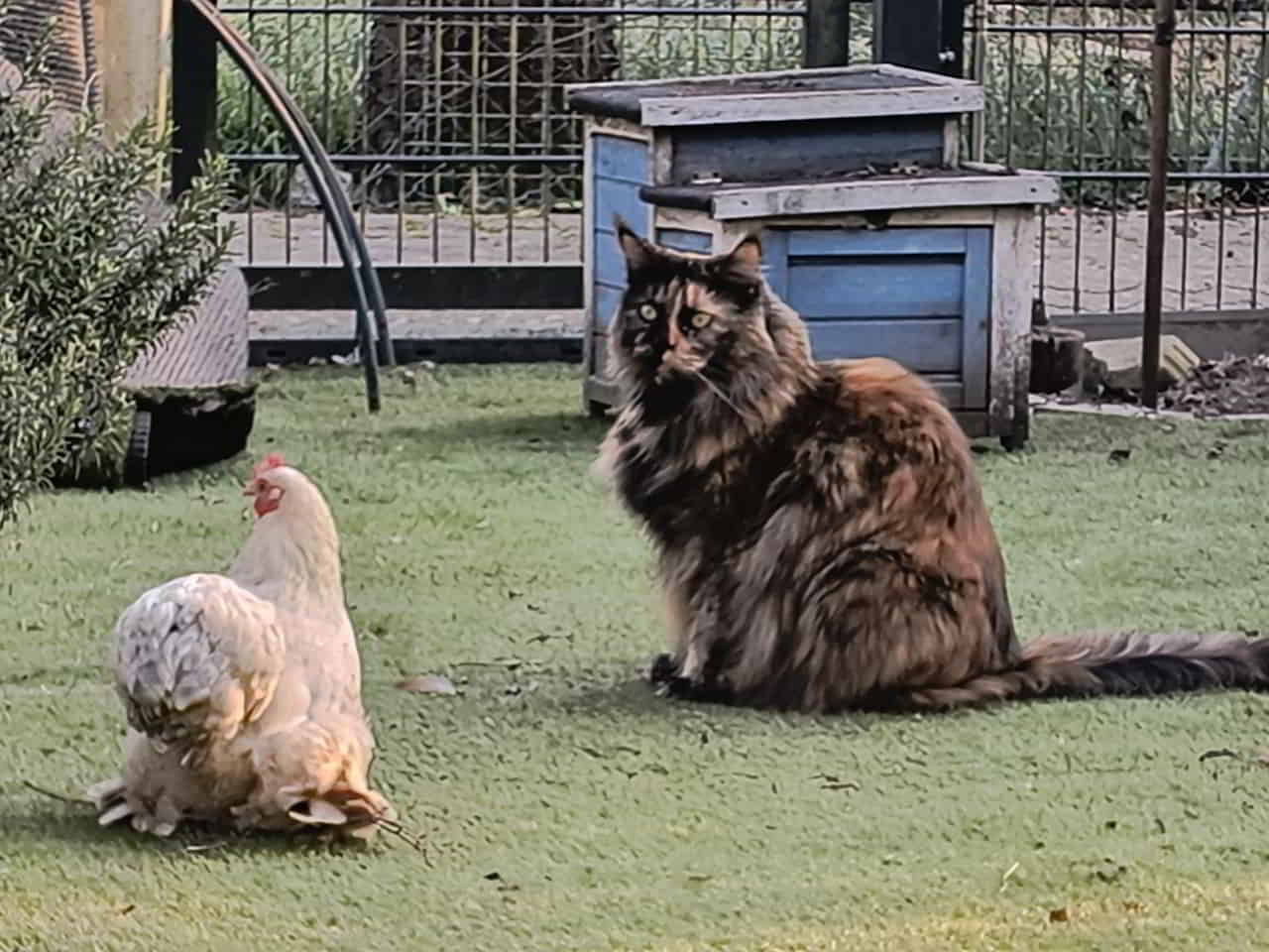 Jutta und Bibi….. Jutta und Bibi.....