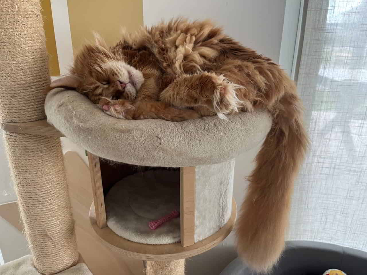 Kein bett zu klein für einen Gott Kein bett zu klein für einen Gott