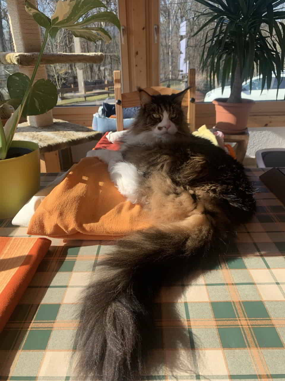 Mein lieber Freund , jetzt übertreibst Du aber!🤨 Mein lieber Freund , jetzt übertreibst Du aber!🤨