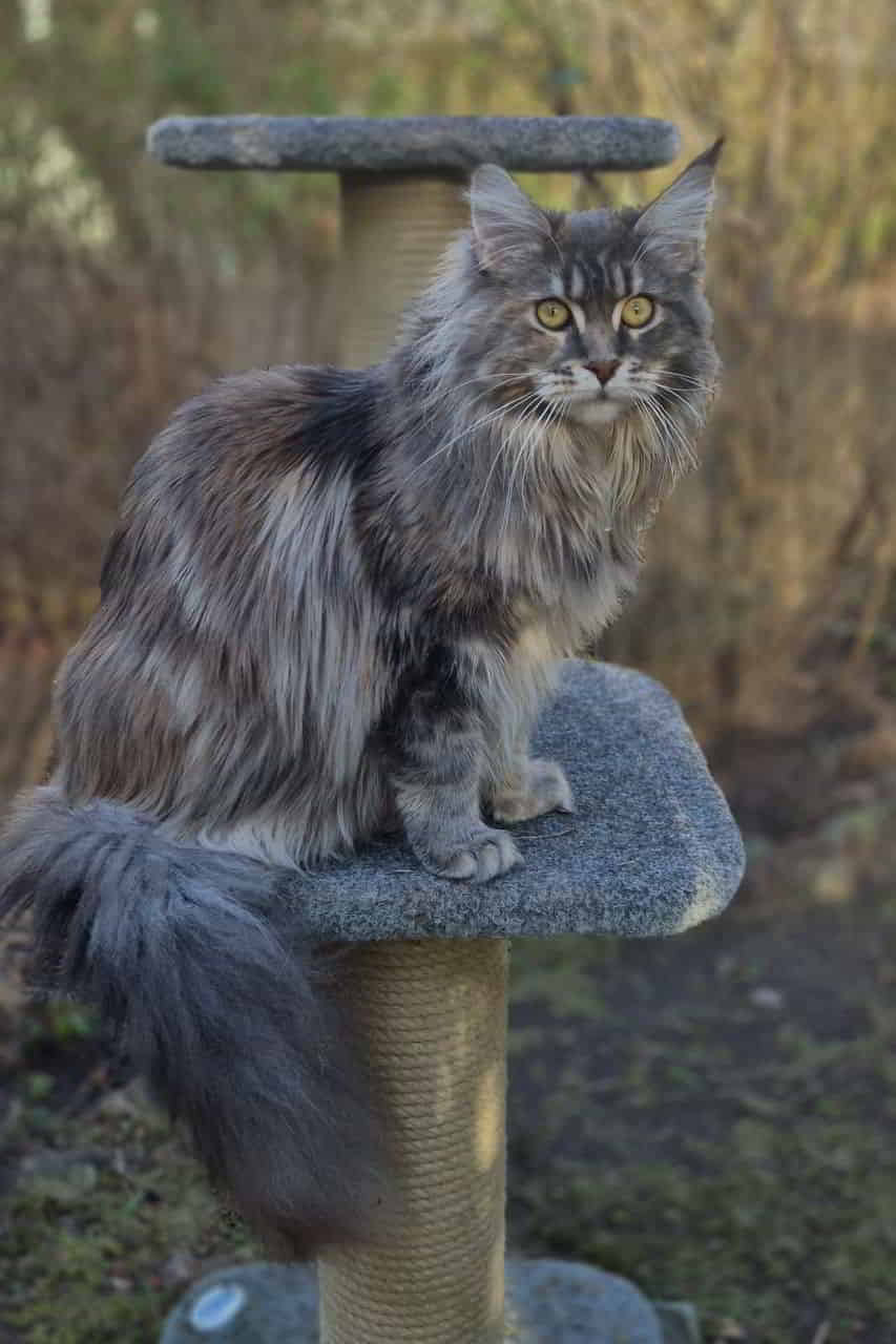 Mein wunderschönes kleines Mädchen Bessie❣️ Mein wunderschönes kleines Mädchen Bessie❣️