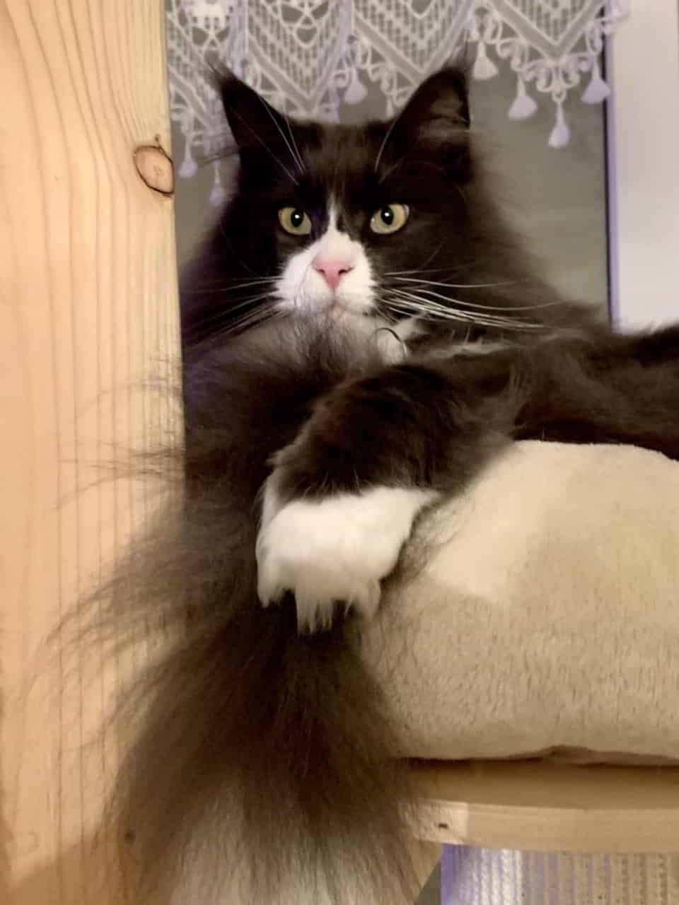 Molly wünscht Euch einen entspannten Abend. Molly wünscht Euch einen entspannten Abend.