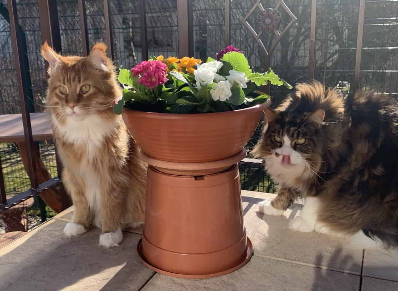 Natürlich müssen Dean und Eddie die Deko auch inspizieren Natürlich müssen Dean und Eddie die Deko auch inspizieren