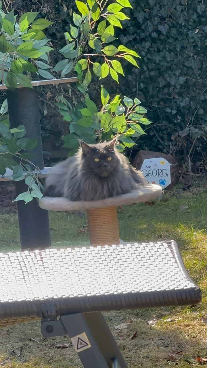 Nicky trohnt Nicky trohnt