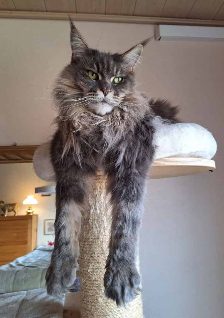 Queen Jada Queen Jada