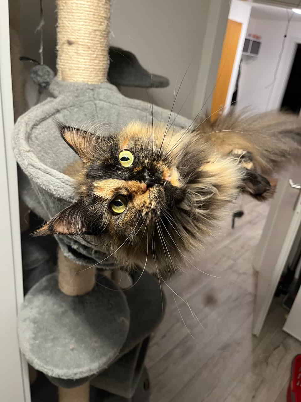 Samantha Wie kann man nur so schön sein 🥰 Samantha Wie kann man nur so schön sein 🥰