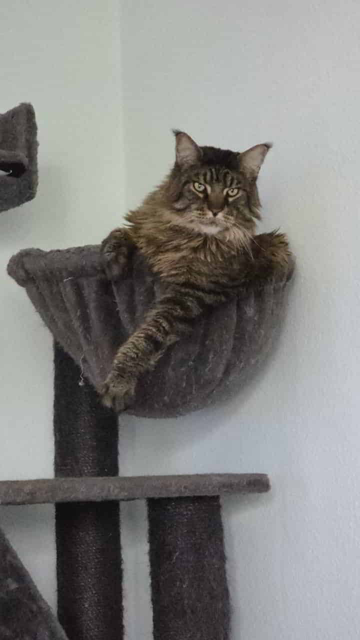 Sonntagsgrüsse von Volker Sonntagsgrüsse von Volker