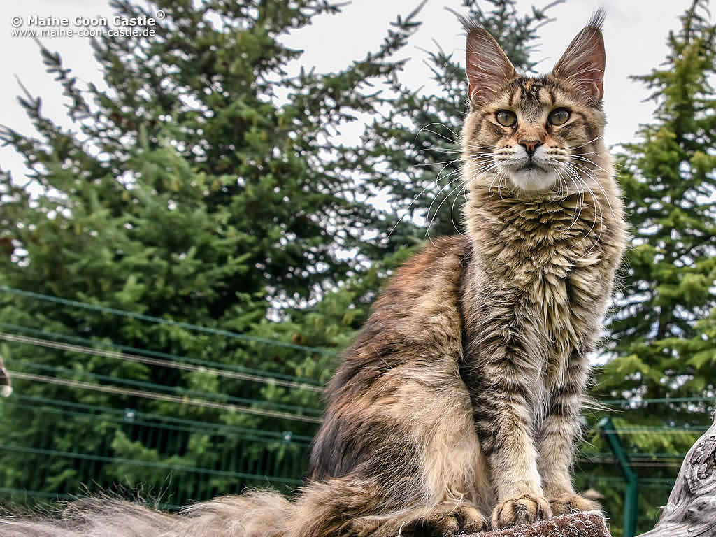 Suse 10 Monate alt Suse 10 Monate alt