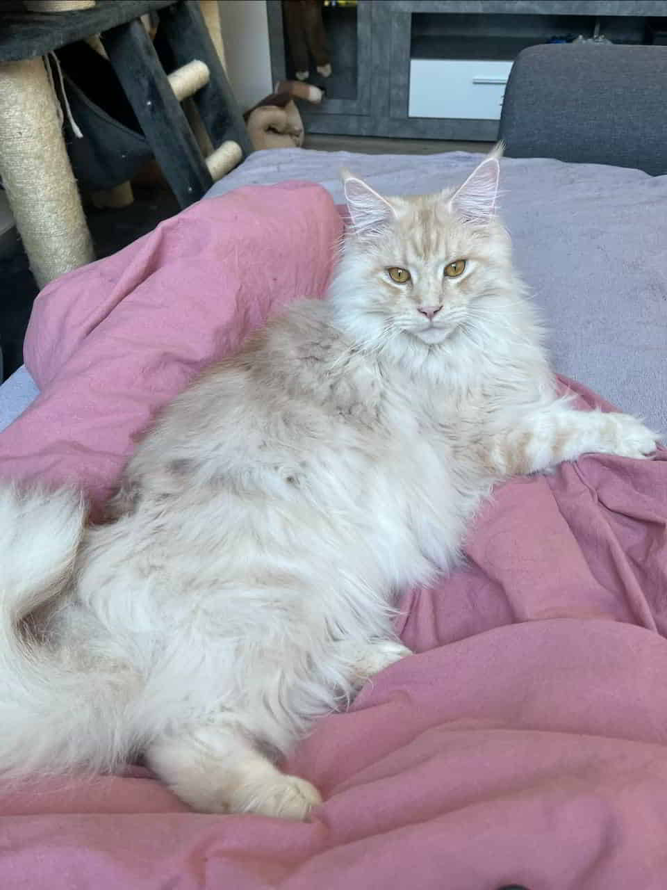 Toni 2 Jahre alt Toni 2 Jahre alt