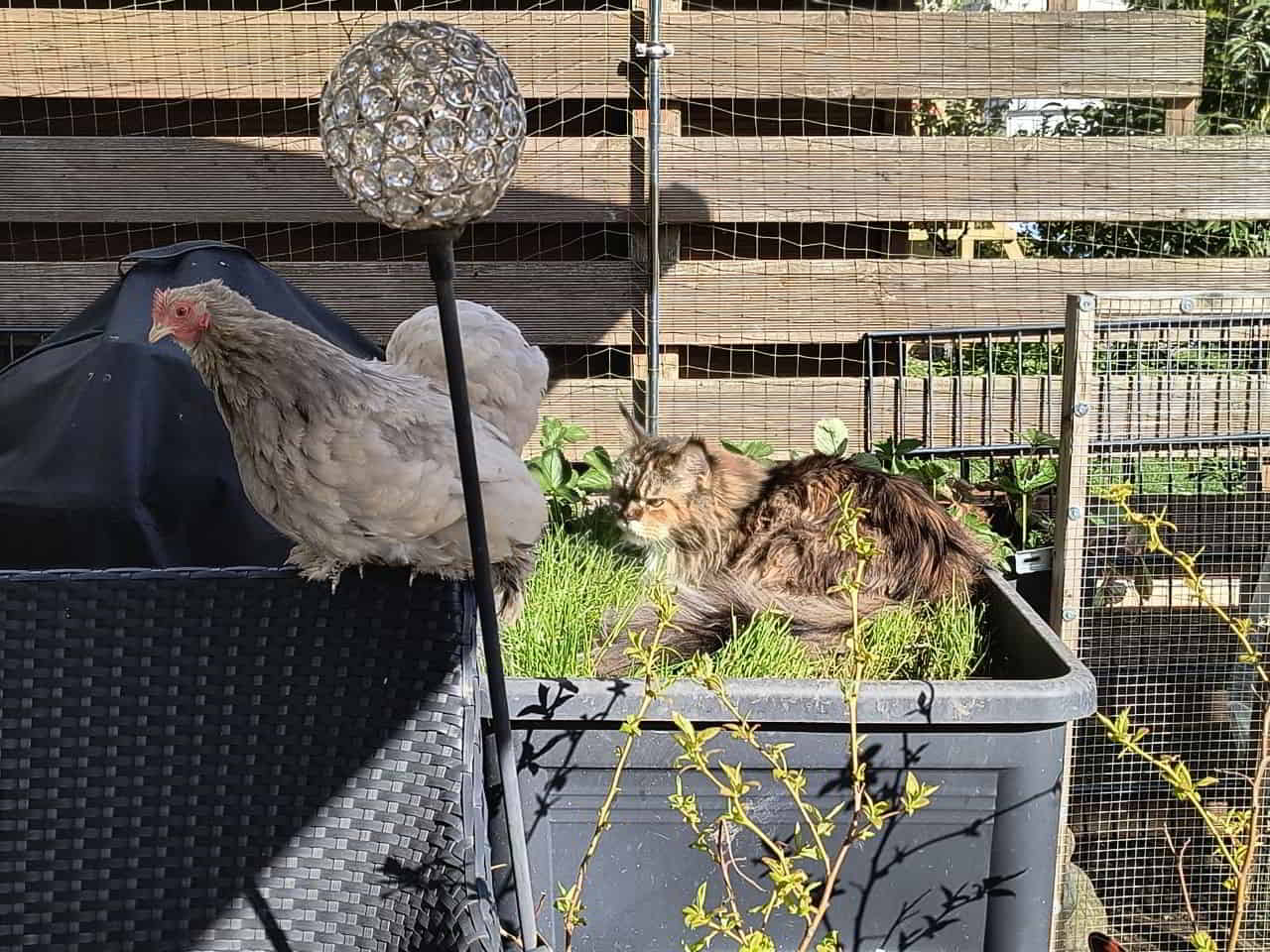 Wilma und Tina…. Wilma und Tina....