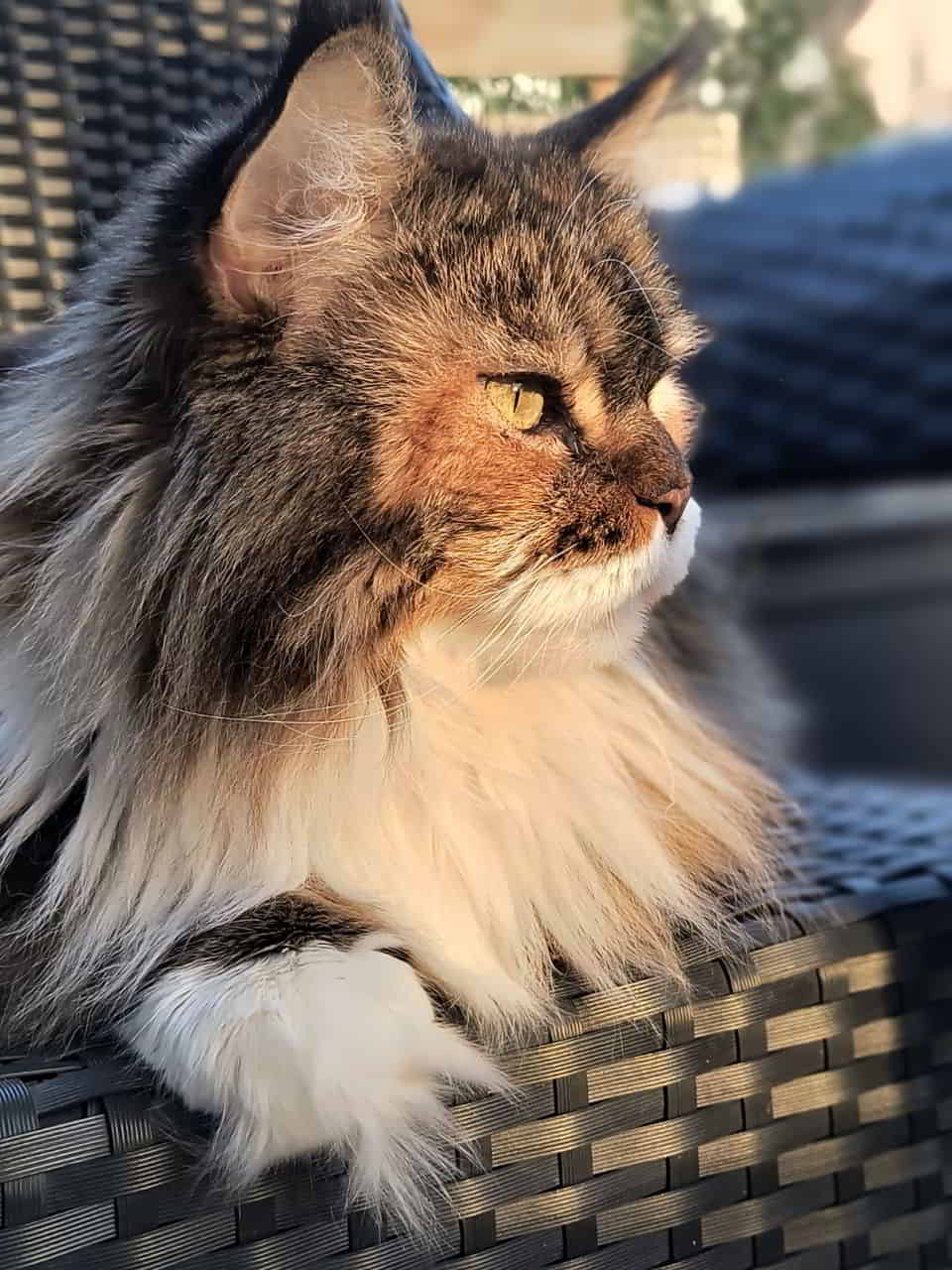 Wilma wie hingemalt Wilma wie hingemalt