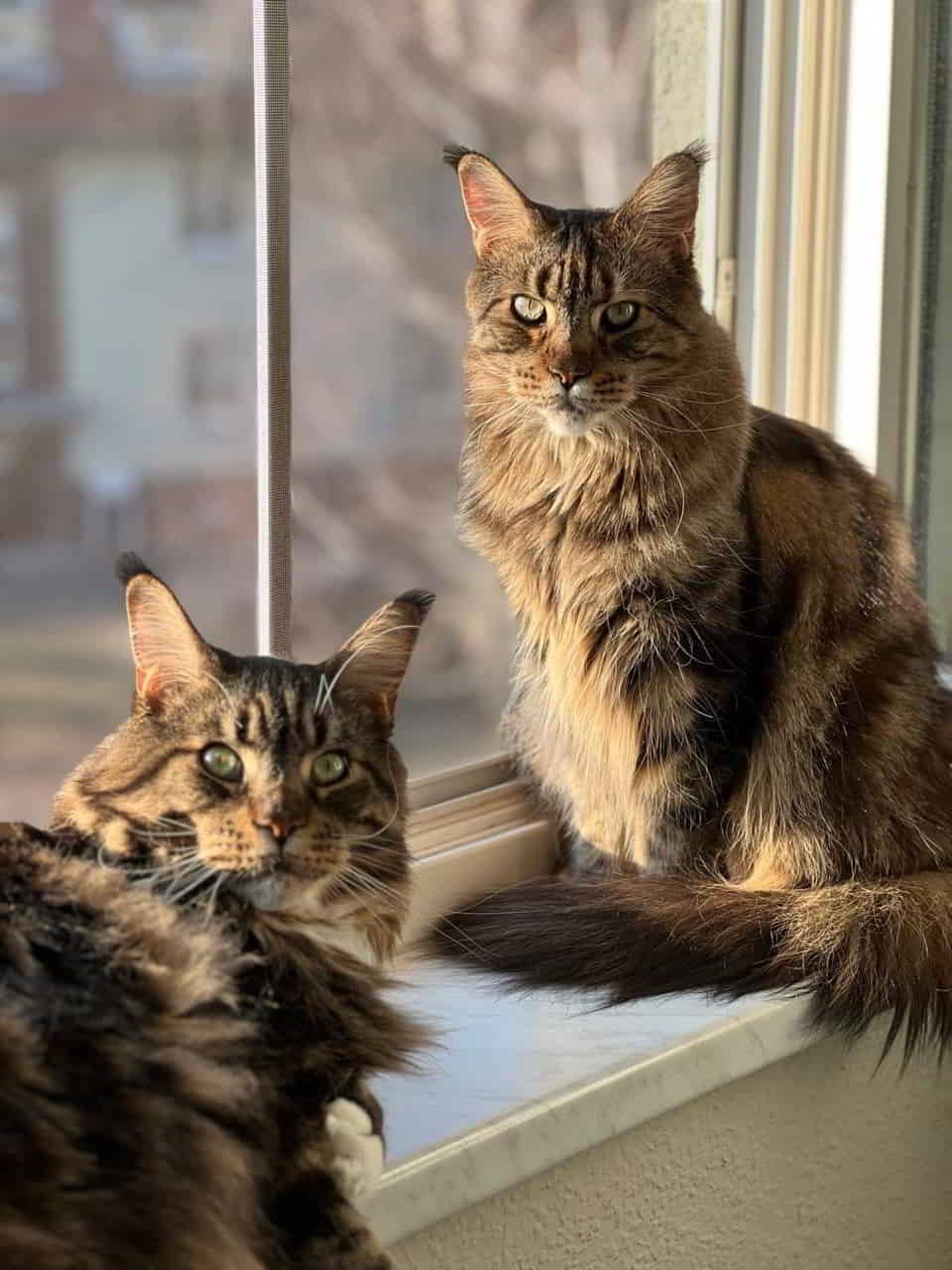 Xavier & Xola Xavier & Xola