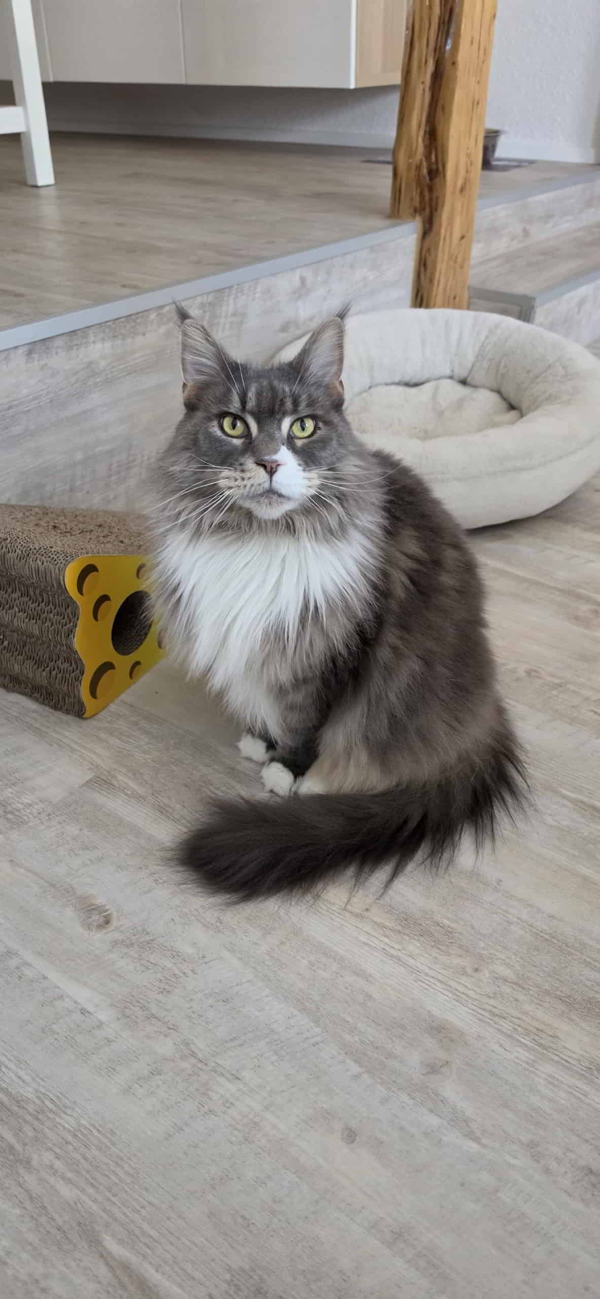 Isa wünscht ihren Geschwistern alles gute zum 7. Geburtstag ❤️ Isa wünscht ihren Geschwistern alles gute zum 7. Geburtstag ❤️