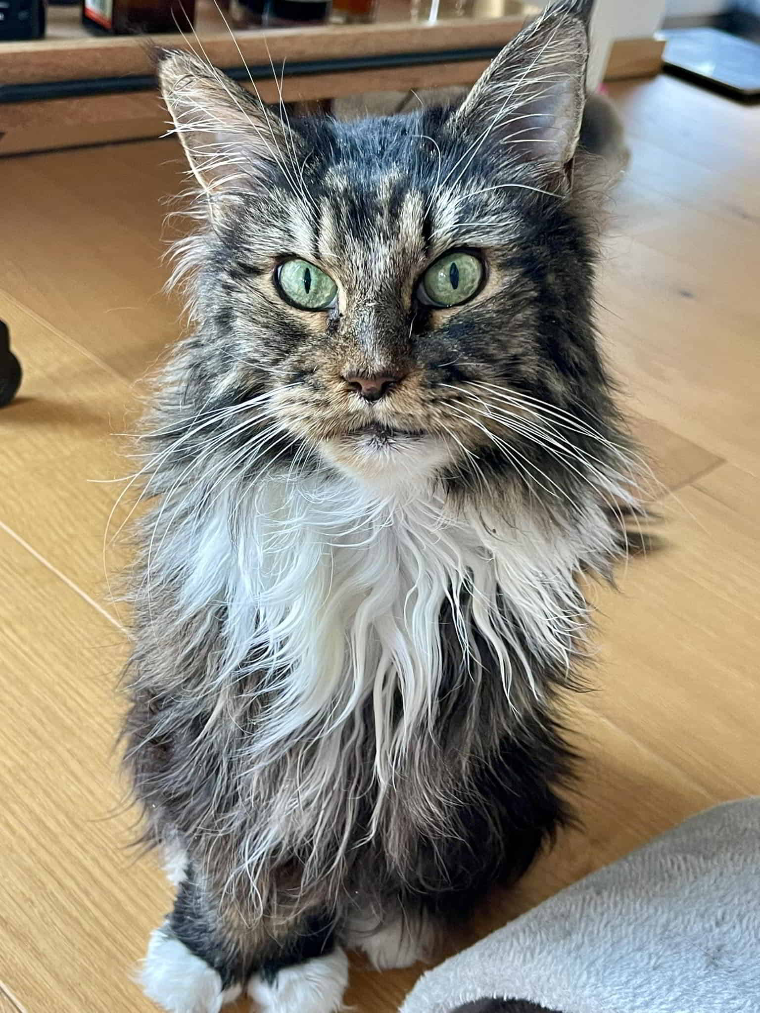 Maika 💕 die süßeste kleine Motte ❣️ Maika 💕 die süßeste kleine Motte ❣️
