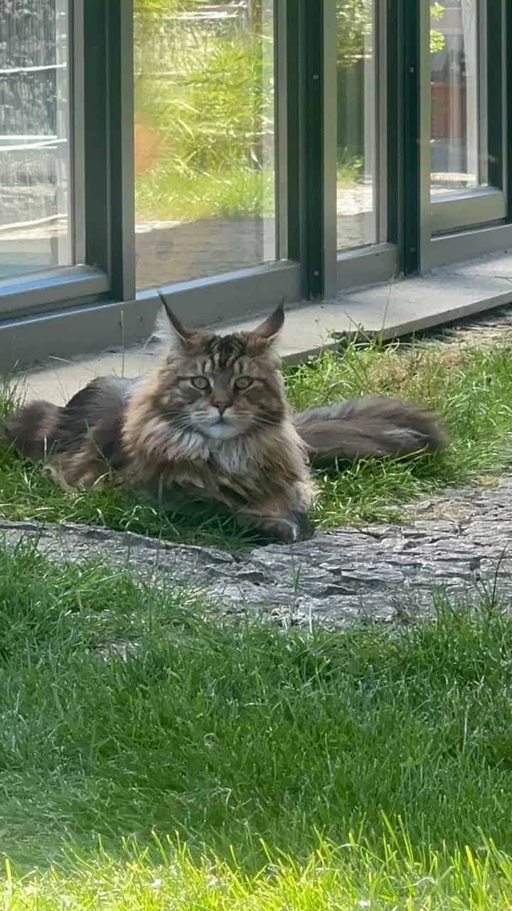 Dylan 1 Jahr alt Dylan 1 Jahr alt