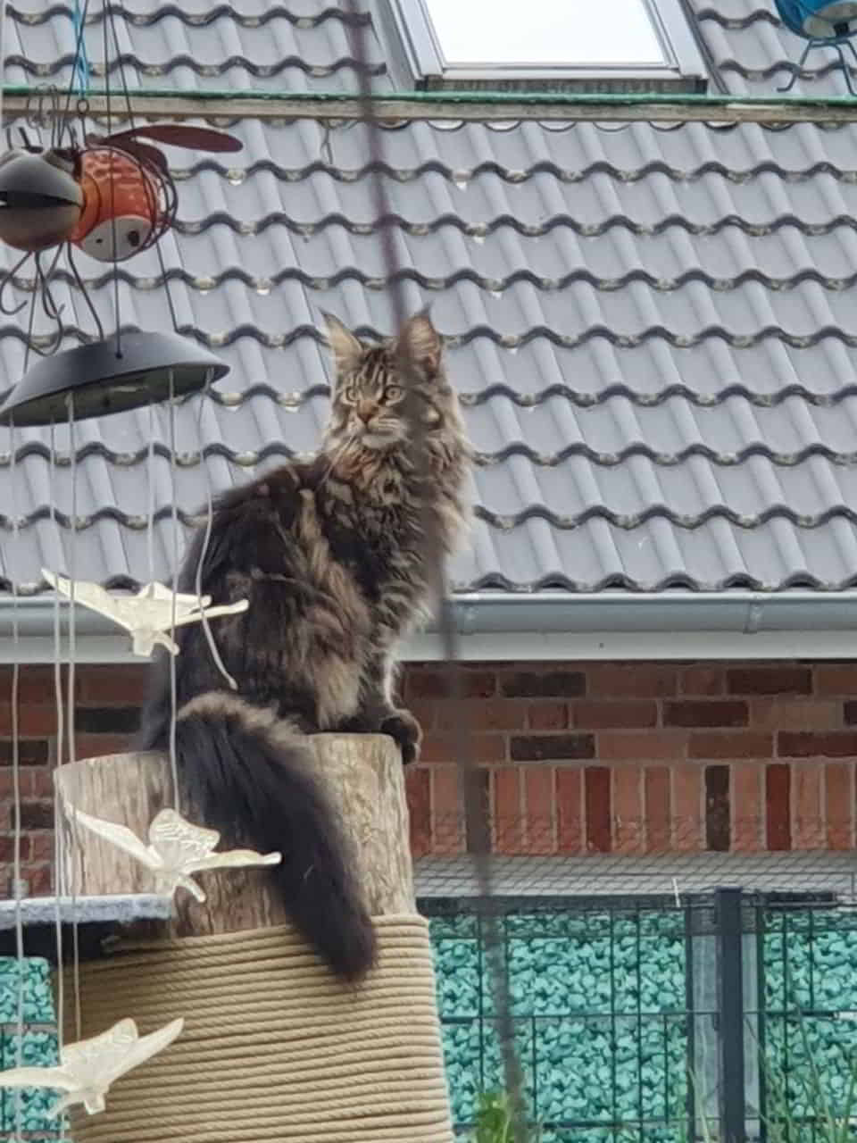 Easy 1 Jahr alt Easy 1 Jahr alt