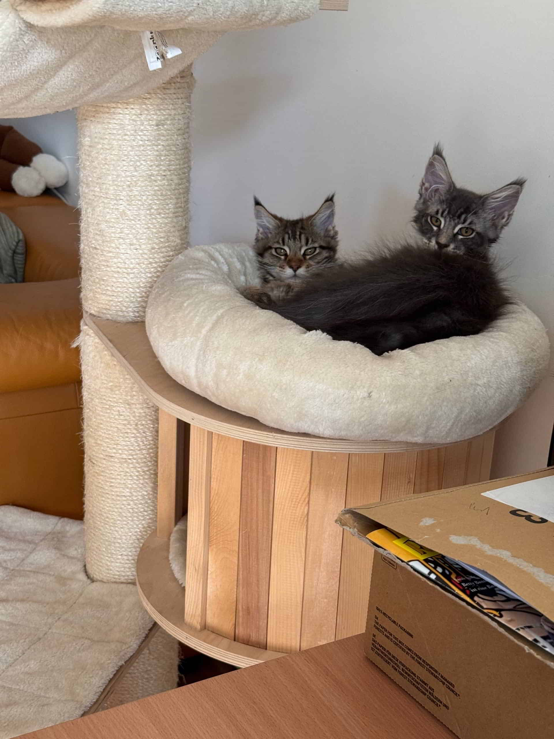 Frieda und Sirius Frieda und Sirius