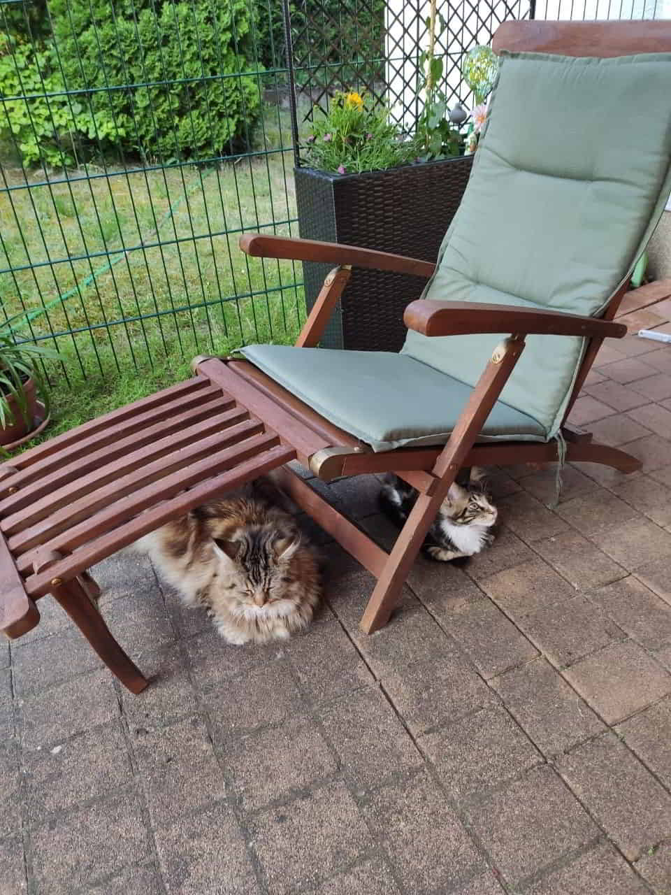 Hauptsache erstmal Schatten Hauptsache erstmal Schatten