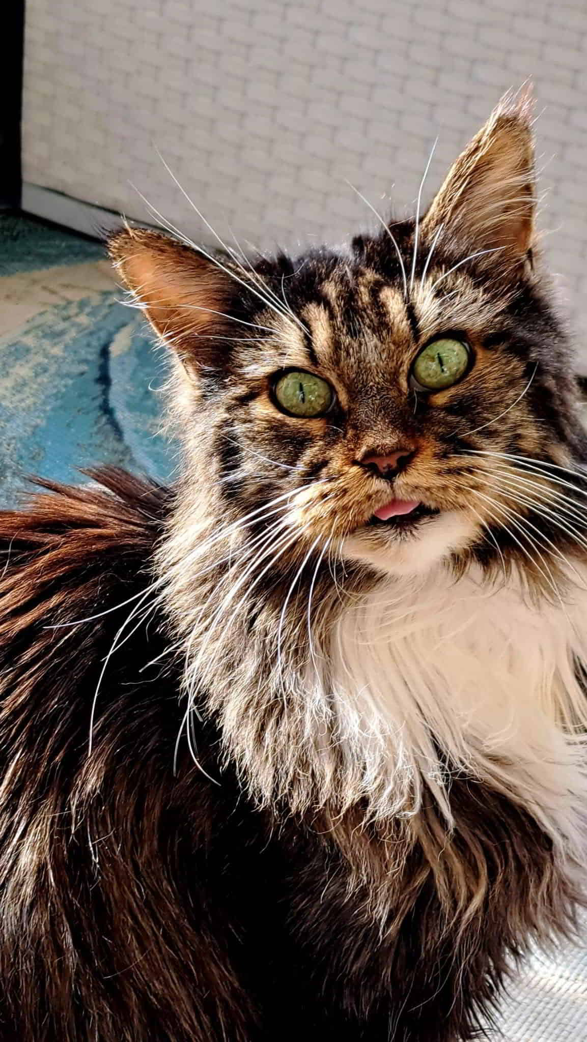 Maika, 14 Jahre und 10 Monate 🤩 Maika, 14 Jahre und 10 Monate 🤩