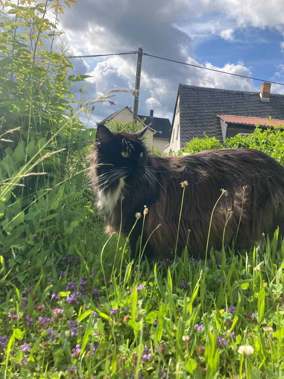 Quentin wünscht einen entspannten und sonnigen Sonntag. ☺️ Quentin wünscht einen entspannten und sonnigen Sonntag. ☺️