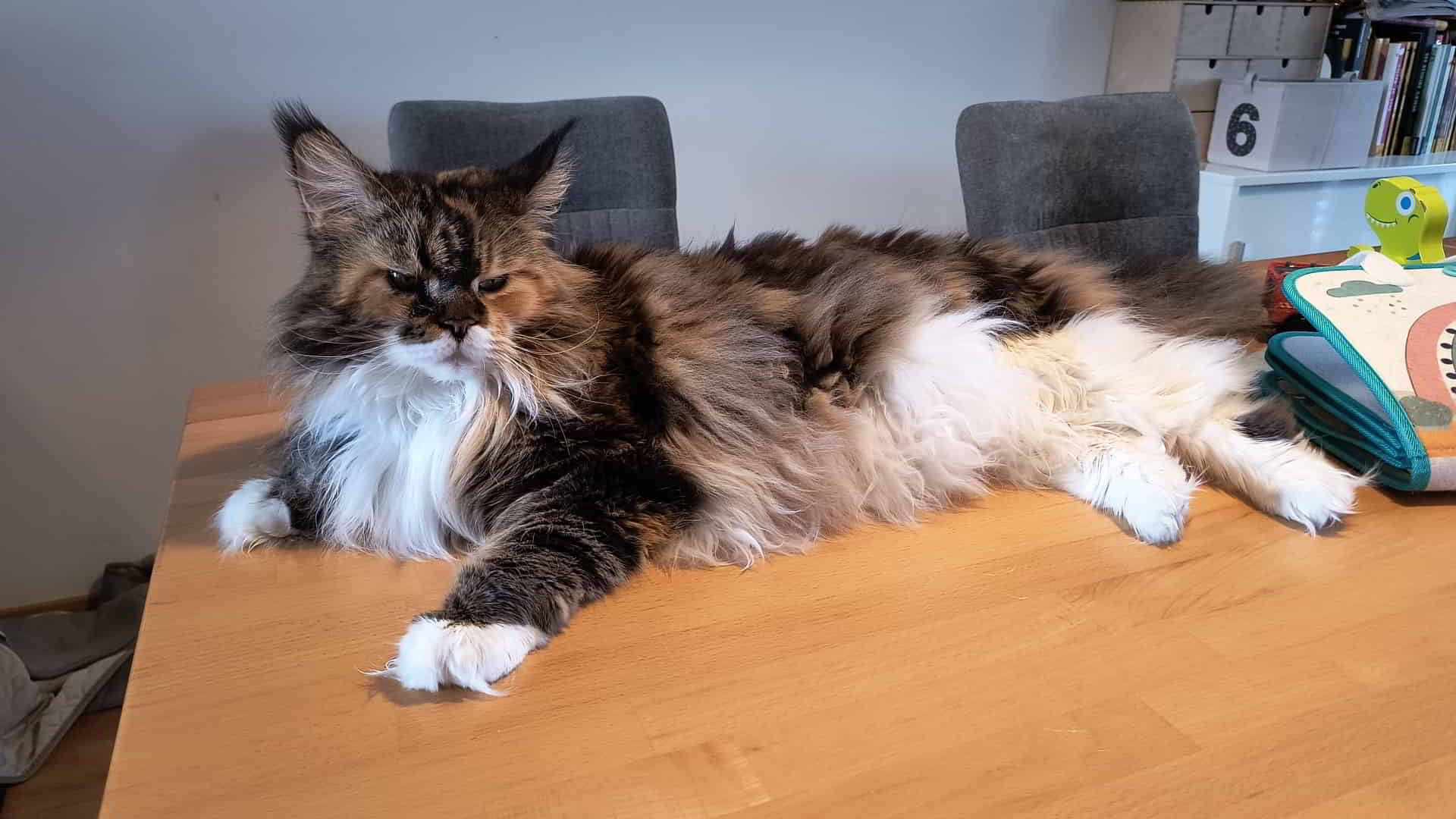 Wilma will mehr…. Wilma will mehr....