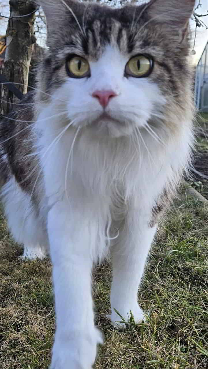 Winni feiert heute ihren 2. Geburtstag Winni feiert heute ihren 2. Geburtstag