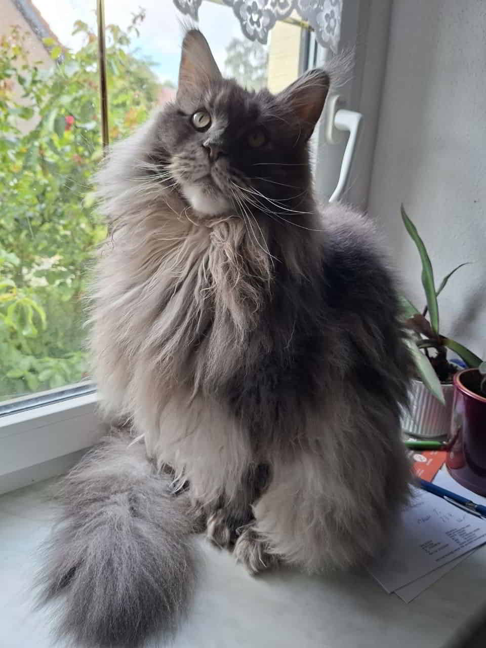 Buddy jr. wünscht einen schönen Tag. 🐾 Buddy jr. wünscht einen schönen Tag. 🐾