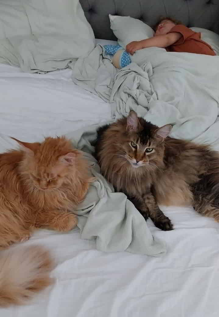 Dave und Nick Dave und Nick