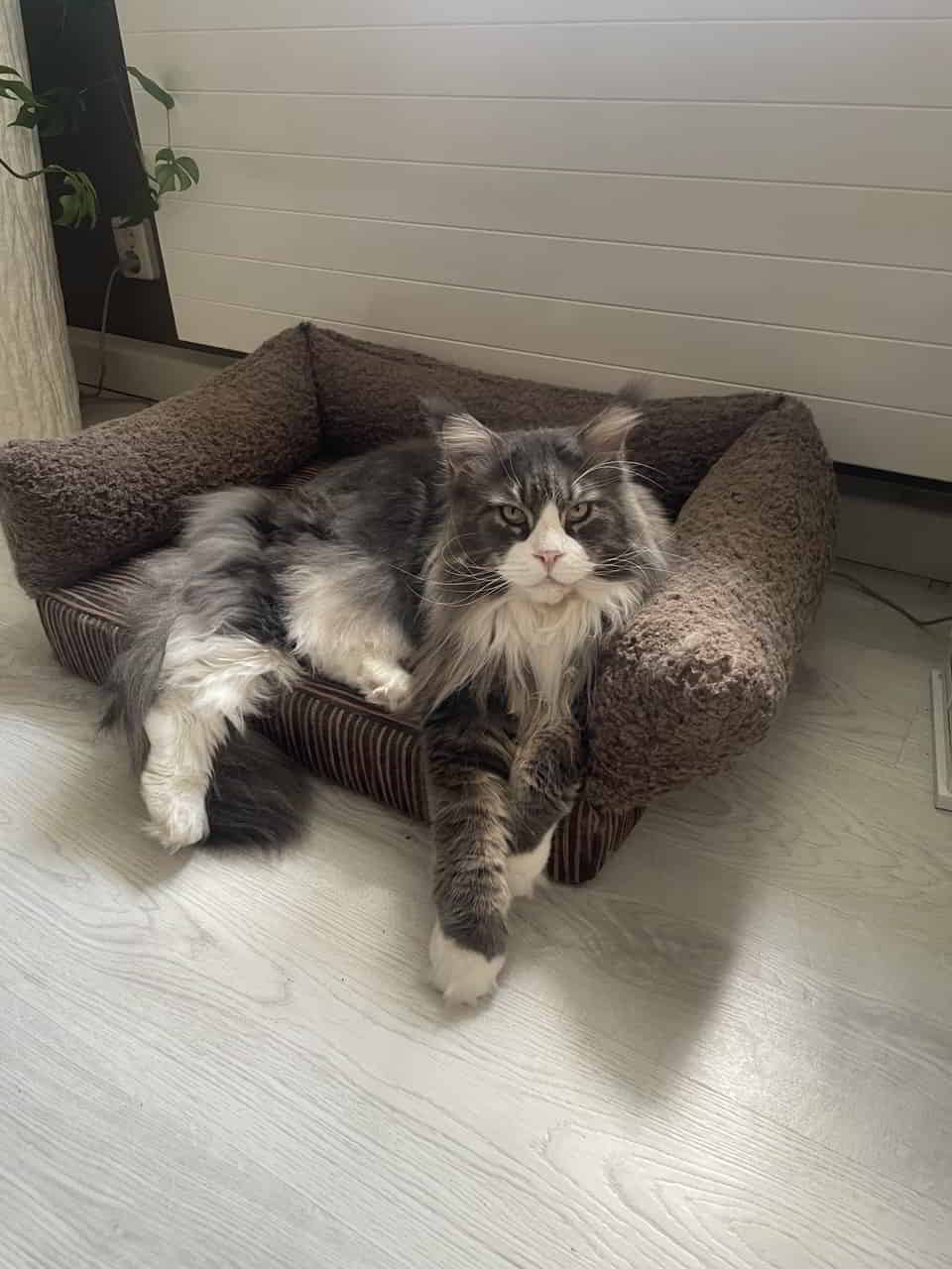 Graf Koks gibt sich die Ehre. Chill out time für‘s Mäxchen … Graf Koks gibt sich die Ehre. Chill out time für‘s Mäxchen …