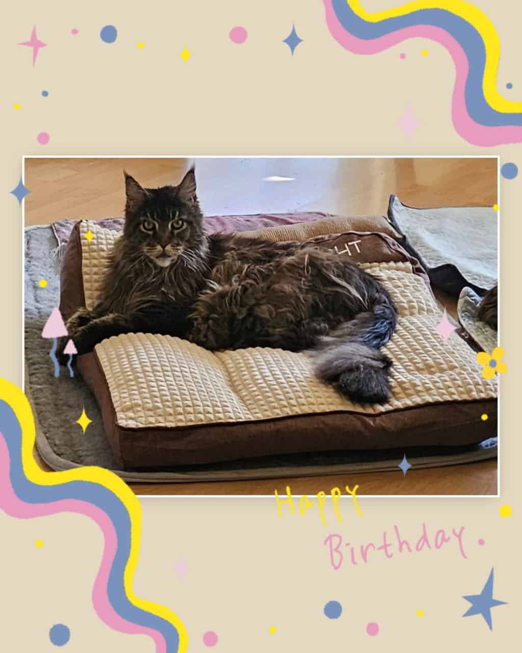 Happy Birthday sweety Murphy ❤️ du wirst heute 12 Jahre alt Happy Birthday sweety Murphy ❤️ du wirst heute 12 Jahre alt