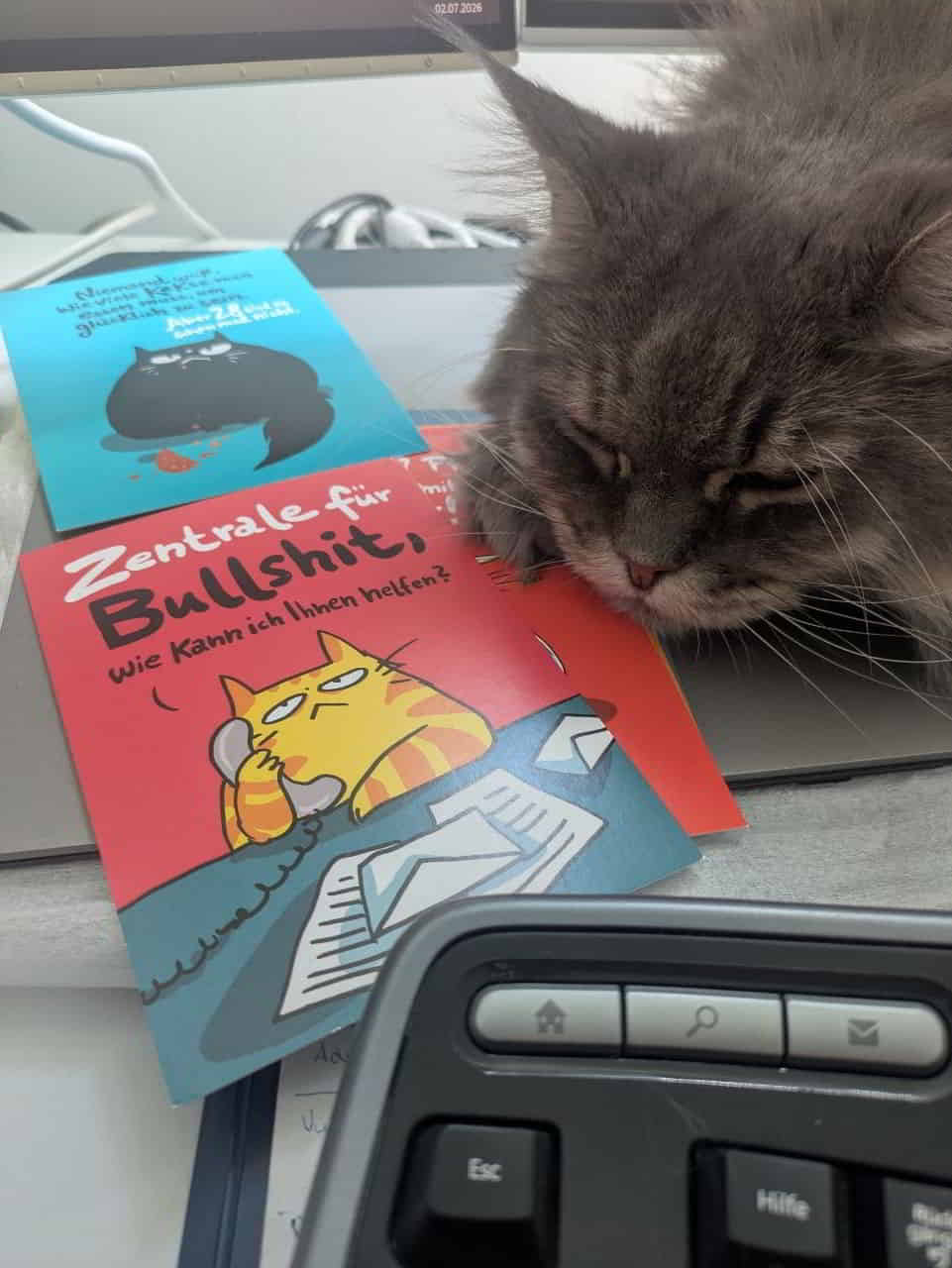 Mood heute präsentiert von Lexy😸 Mood heute präsentiert von Lexy😸