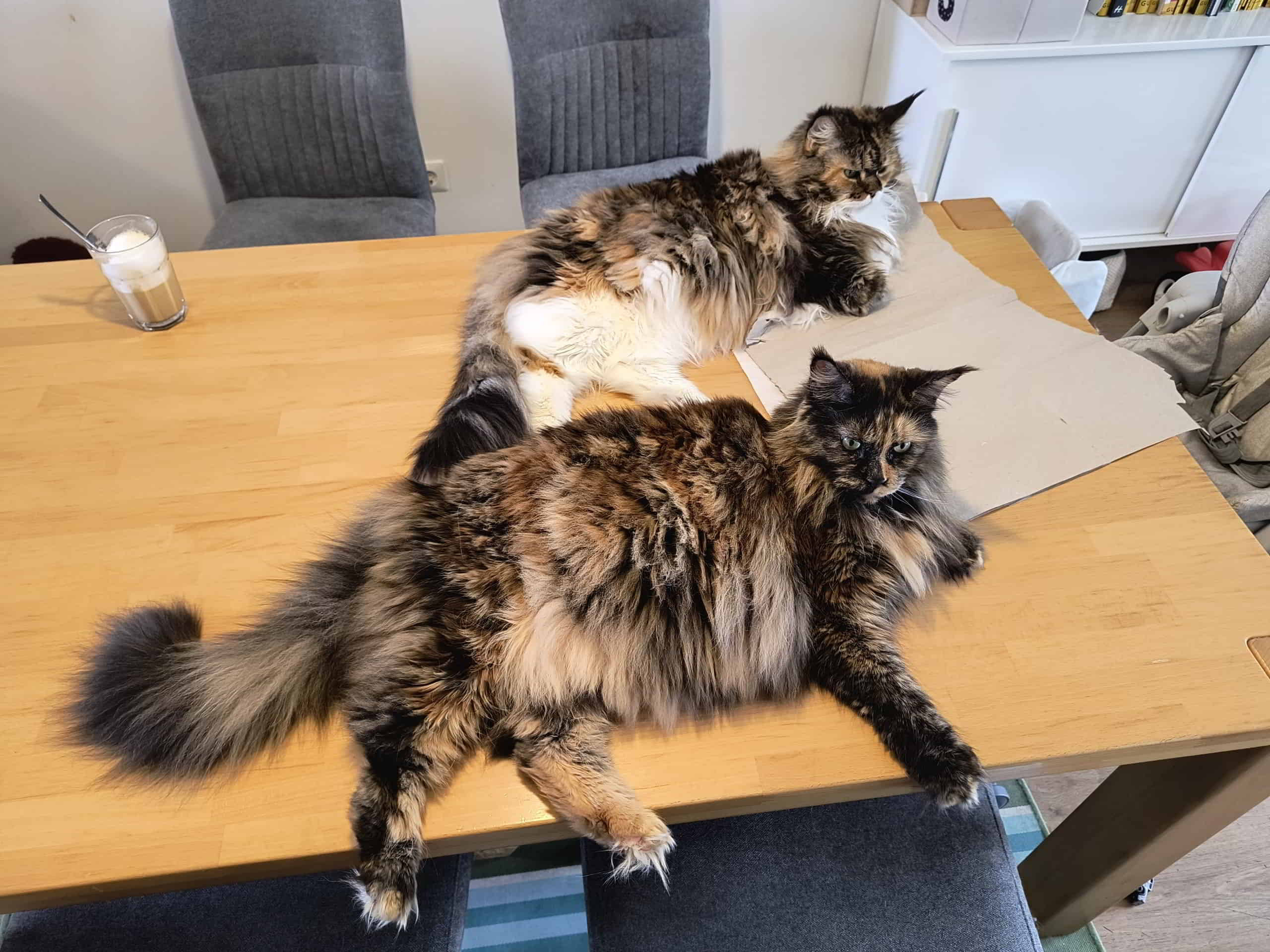 Mutter Wilma und Tochter Jutta Mutter Wilma und Tochter Jutta