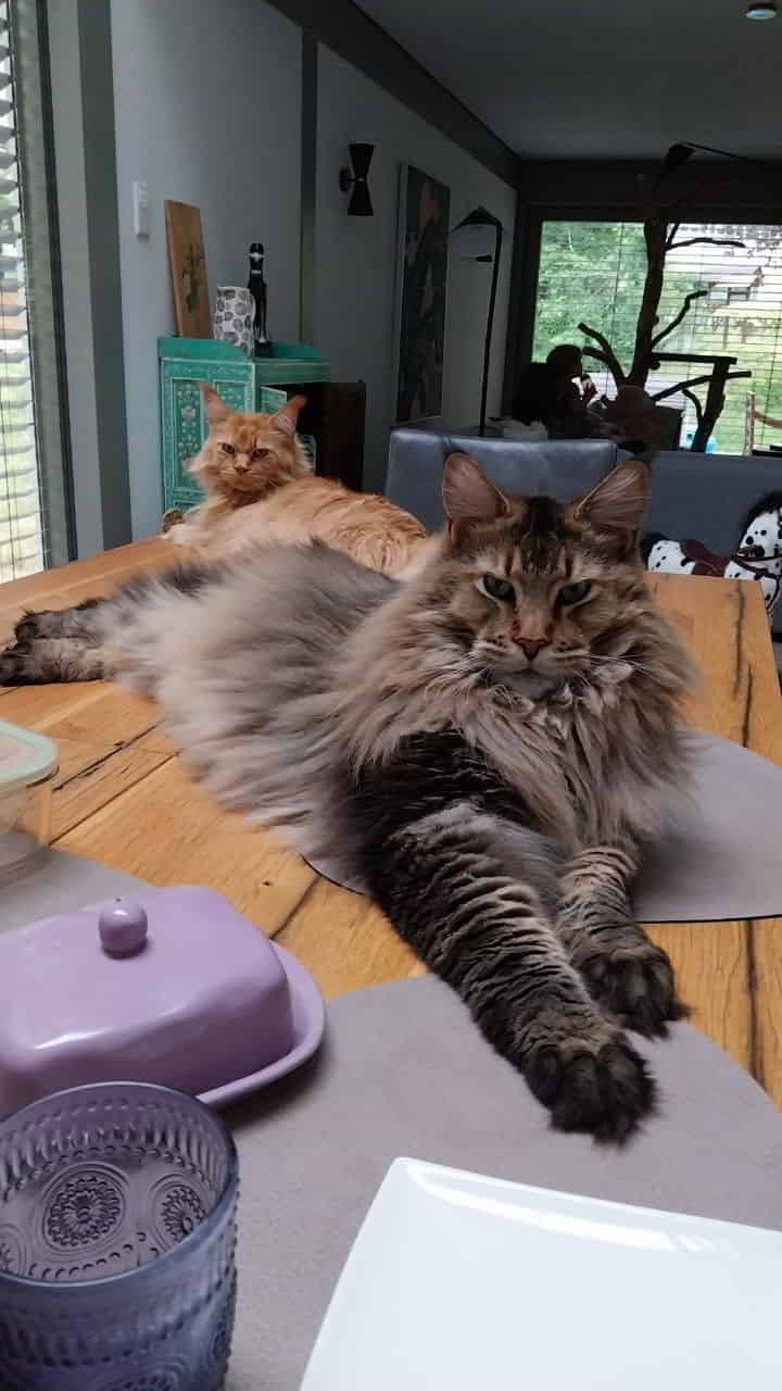 Nick und Dave Nick und Dave