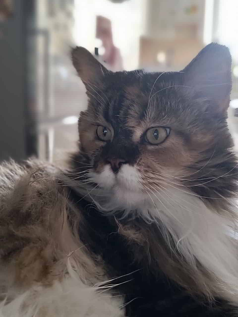 Wilma ist voll der Schmusebomber Wilma ist voll der Schmusebomber