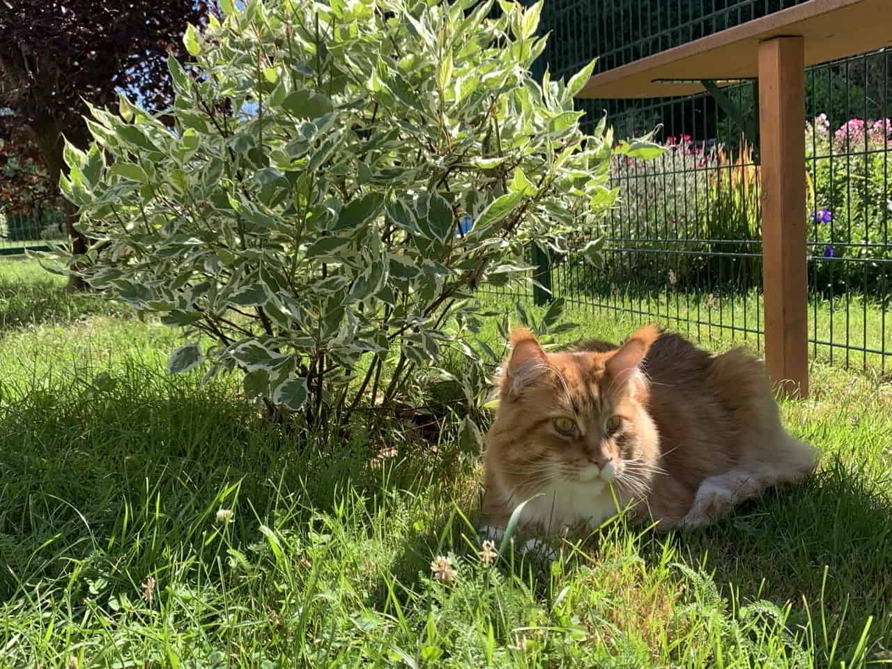 Wochenende Wochenende