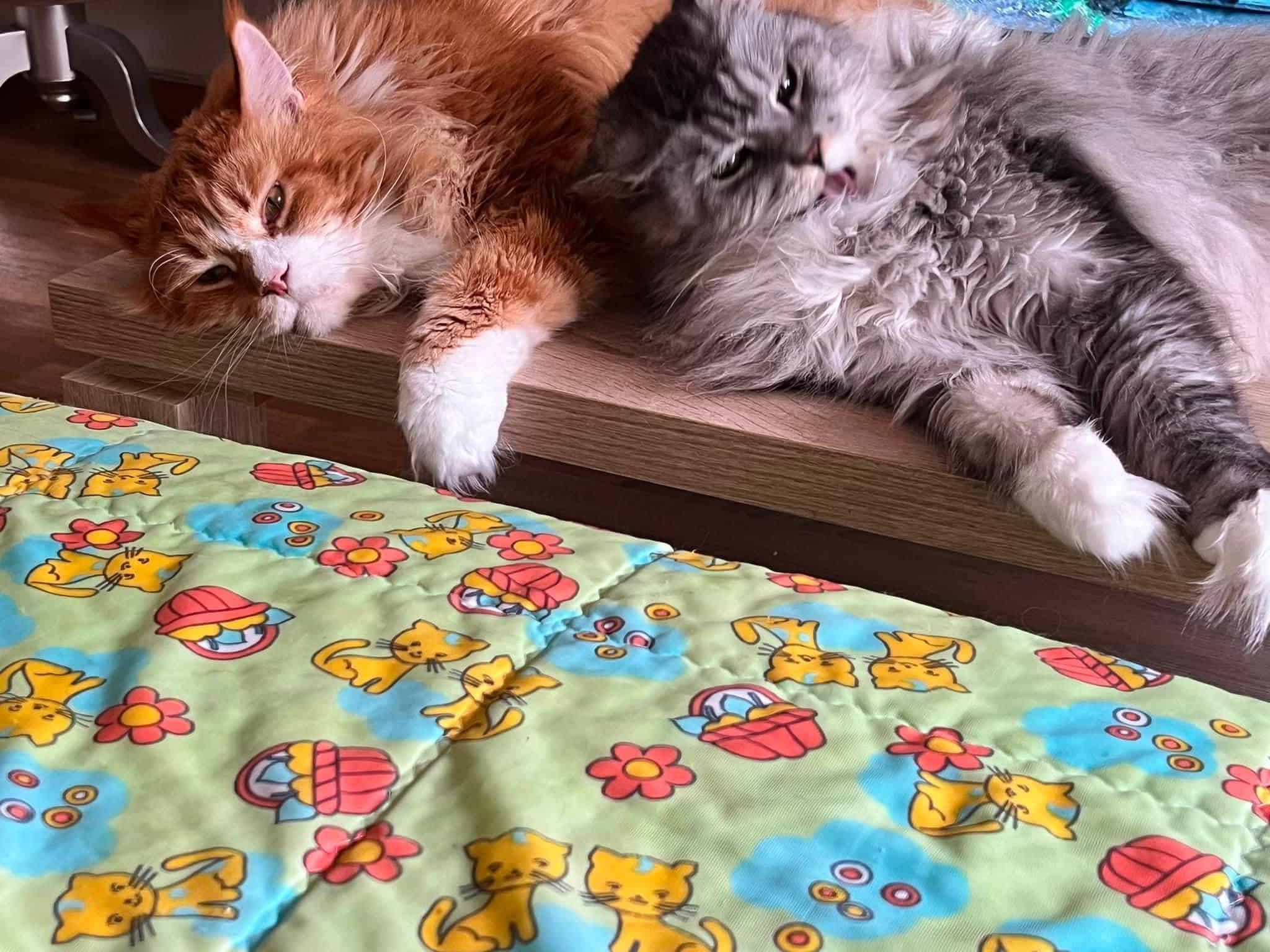 Wotan und Freundin Wotan und Freundin
