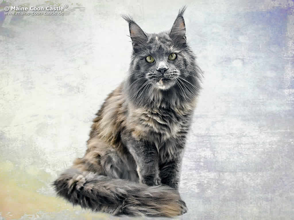 Uschi 11 Monate alt Uschi 11 Monate alt