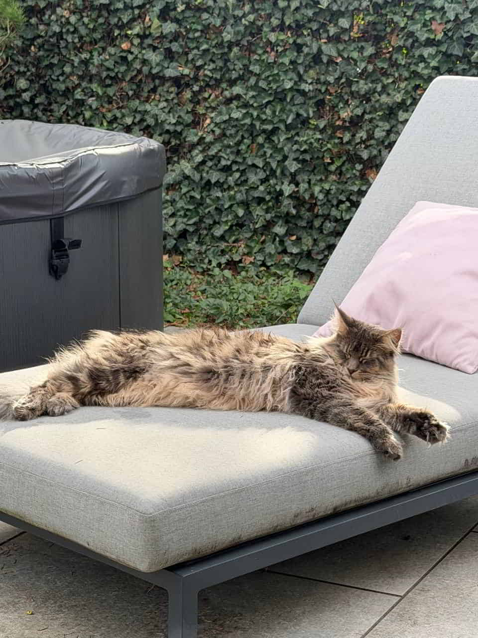 Emmy genießt die SpätsommerSonne 💕 Emmy genießt die SpätsommerSonne 💕