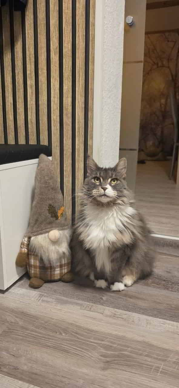 Isa ihr Kumpel 😊 Isa ihr Kumpel 😊