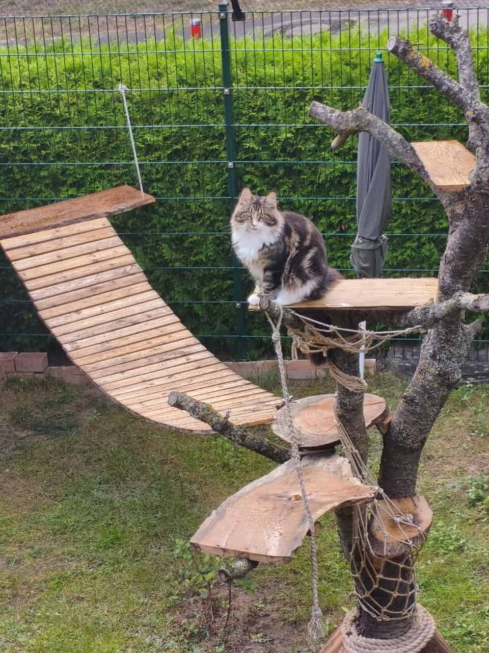 Lenny genießt den Regen Lenny genießt den Regen