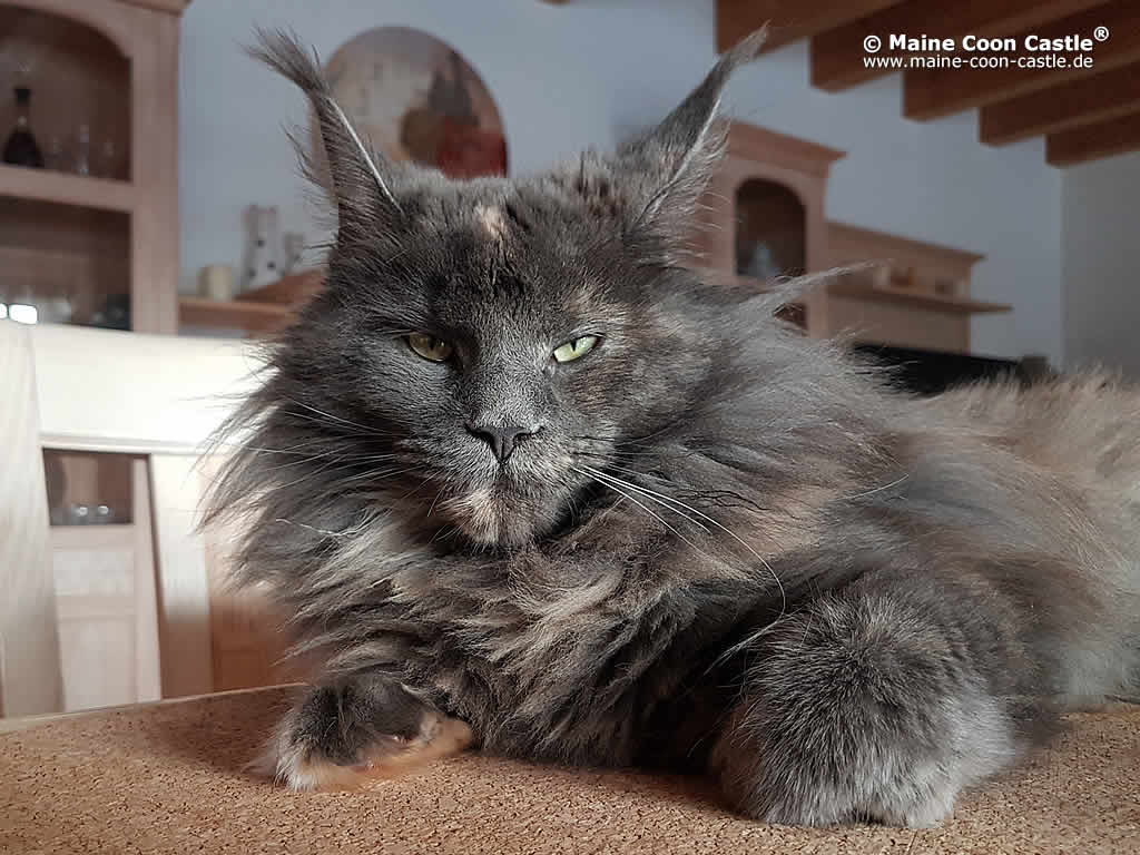Uschi 1 Jahr alt Uschi 1 Jahr alt