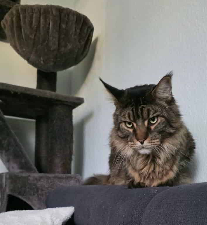 Volker hat schlechte Laune 😂 Volker hat schlechte Laune 😂