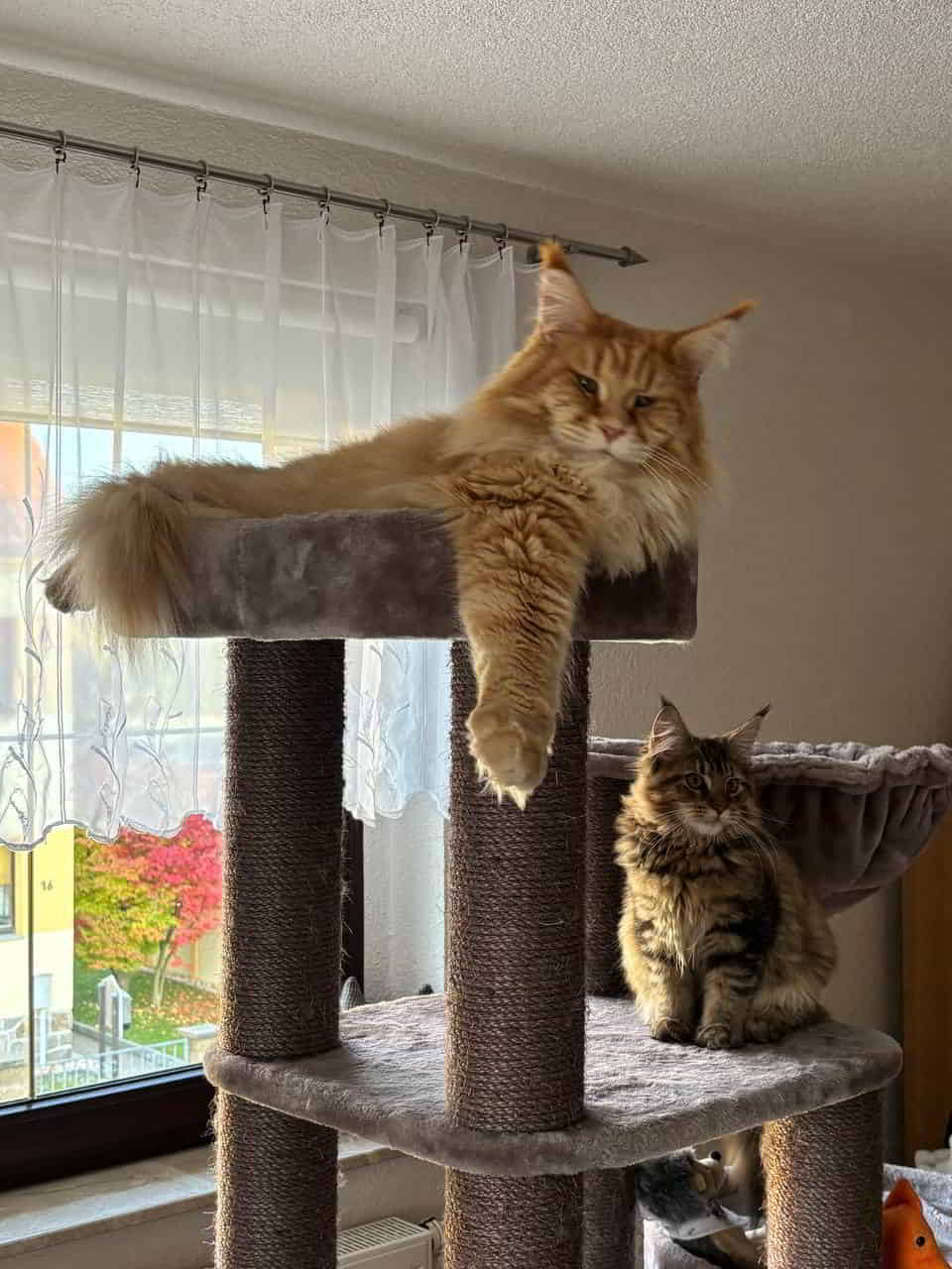 Adam und Dakota Na spielste mit Adam und Dakota Na spielste mit