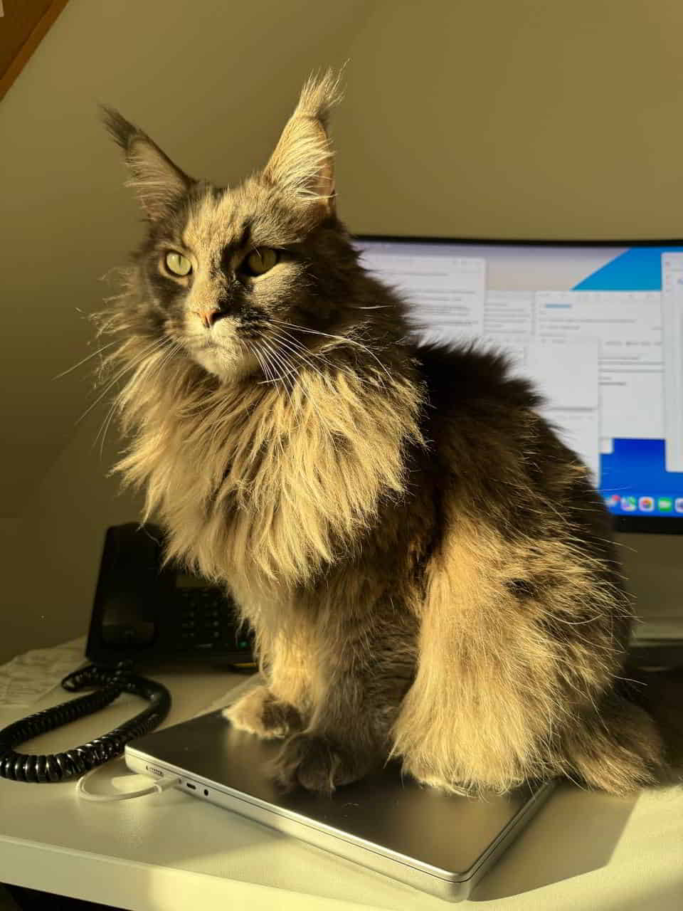 Chef Leo sagt Feierabend Chef Leo sagt Feierabend