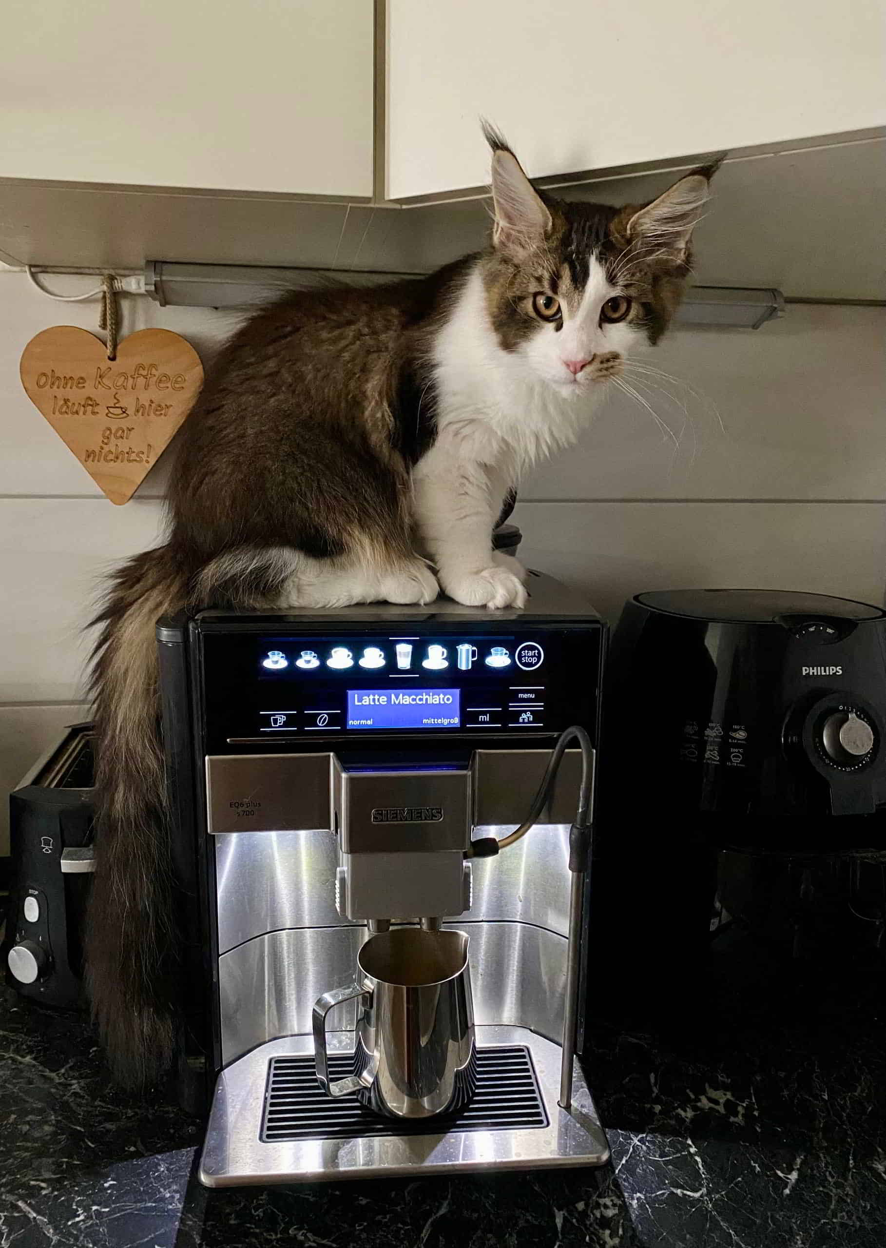 Colin, unser unbestechlicher Kaffeewächter