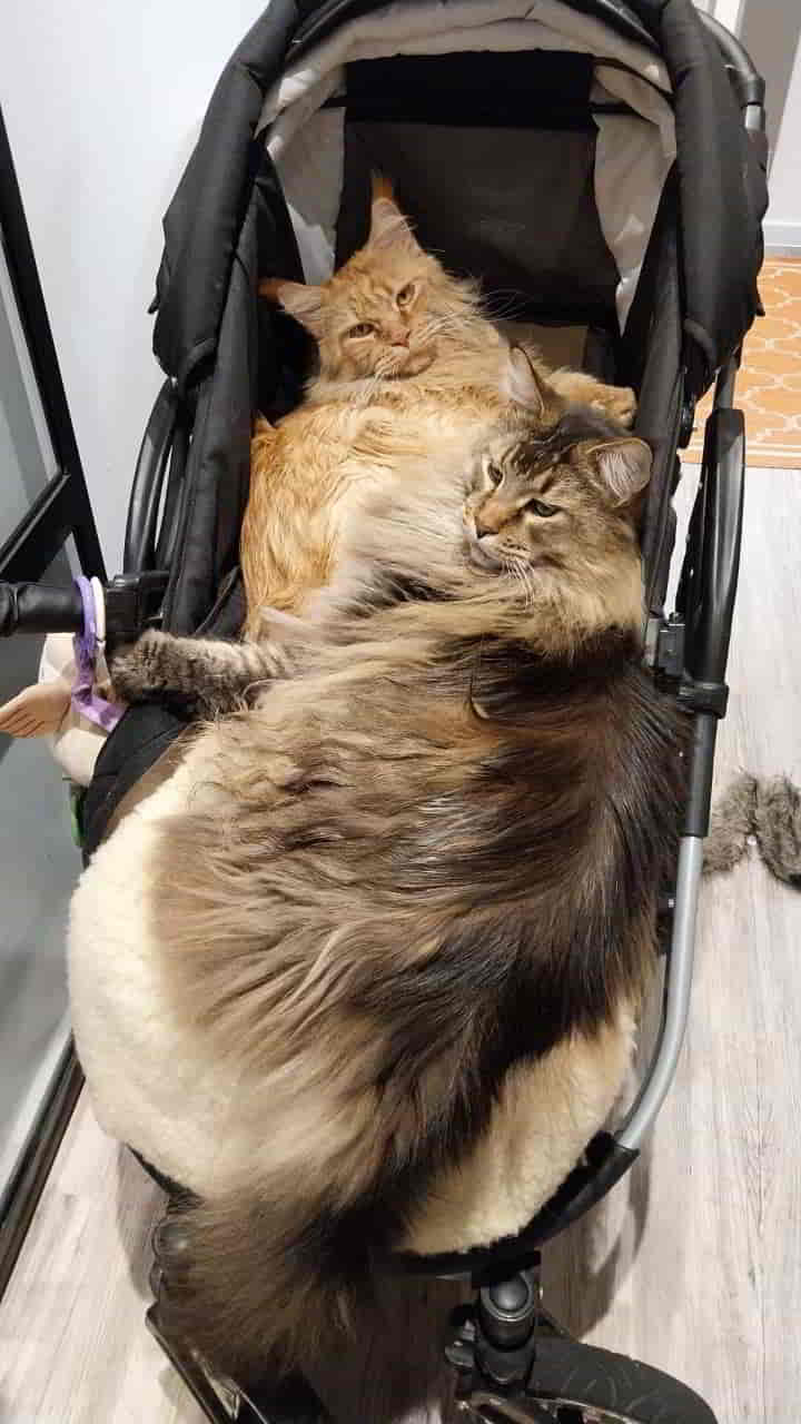 Dave und Nick Dave und Nick