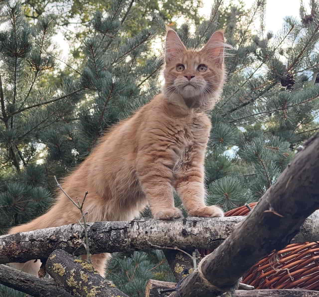 Dean grüßt seine Brüder und Schwestern Dean grüßt seine Brüder und Schwestern