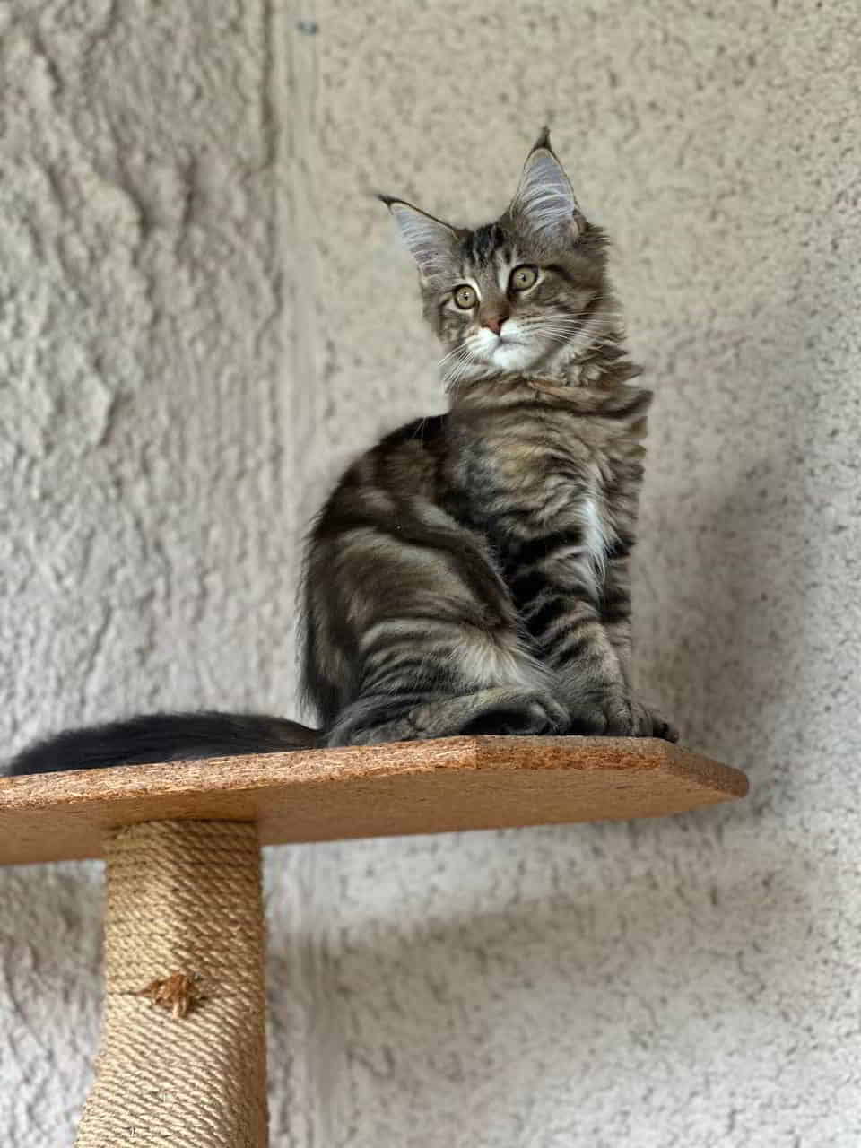 Dylan wiegt ca 3kg Dylan wiegt ca 3kg