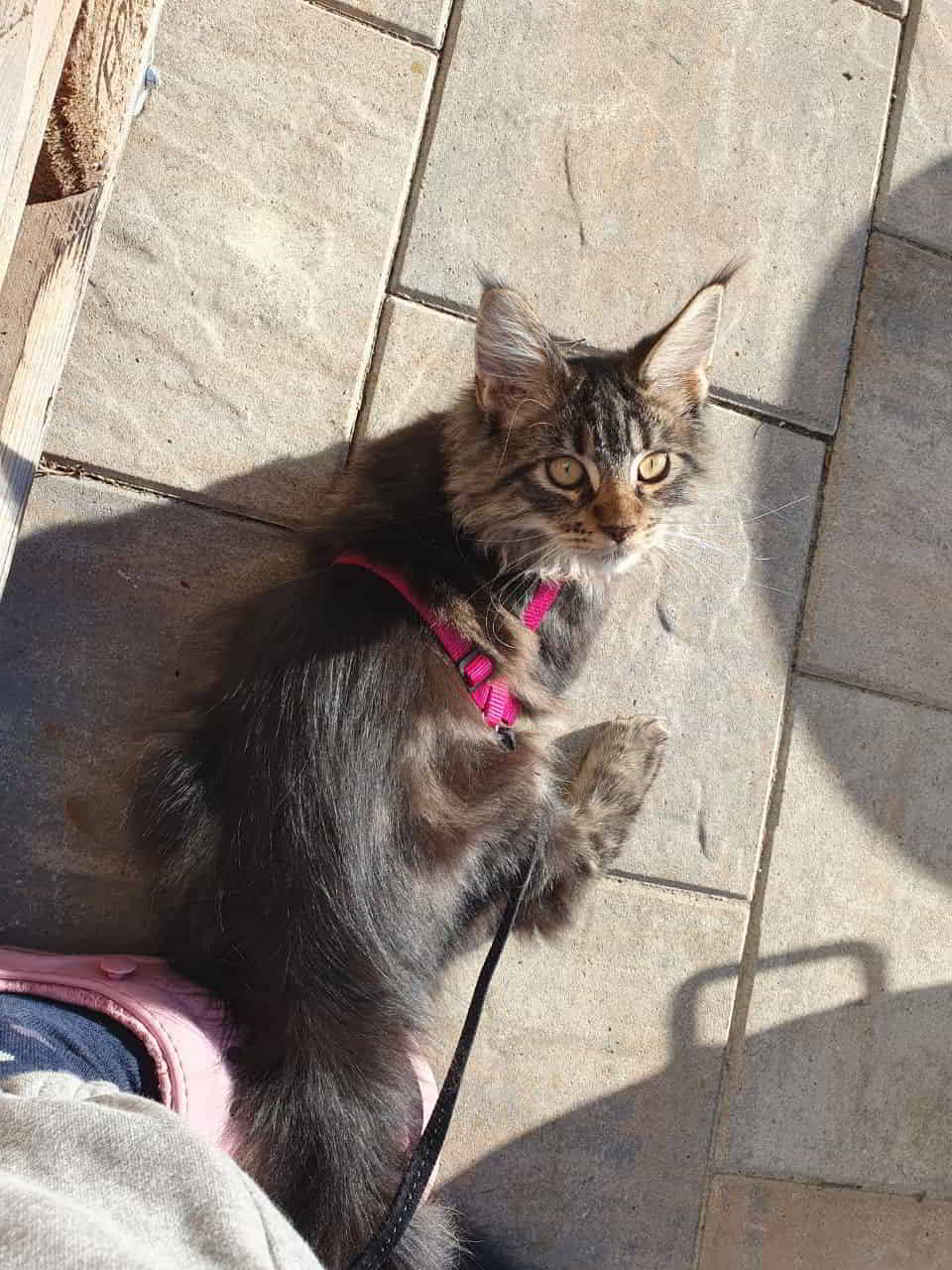 Easy 19 Wochen 2840g Easy 19 Wochen 2840g