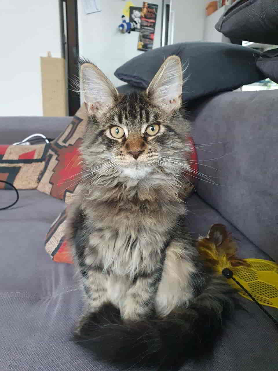 Easy wiegt 2575 g Easy wiegt 2575 g