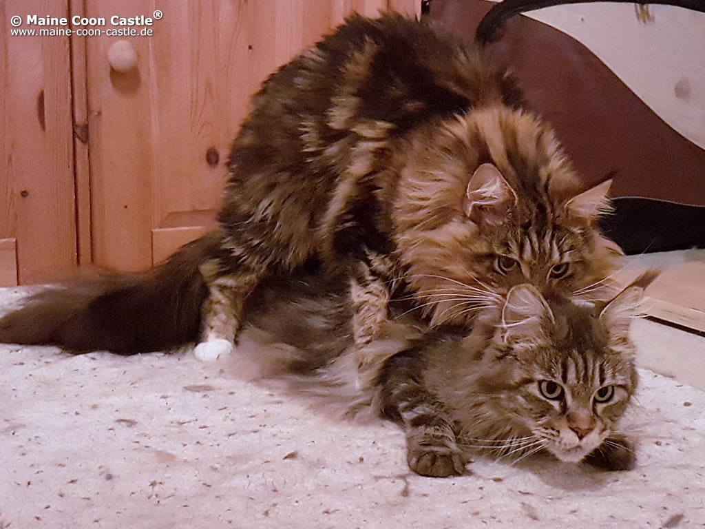 Ebby und Eli ;)